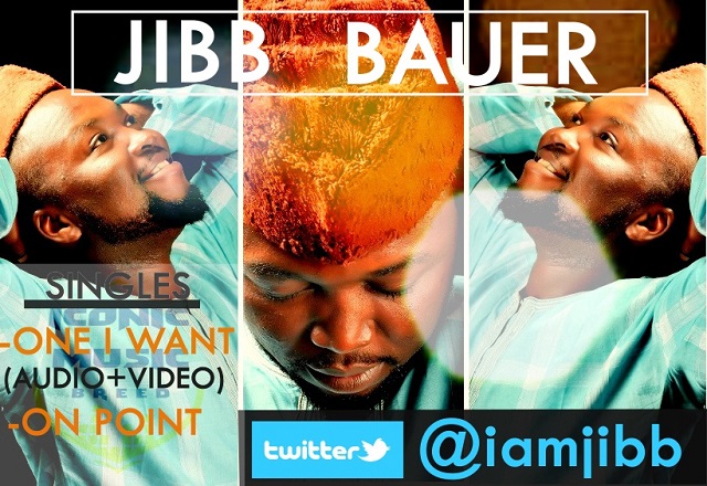 jibb-bauer-cover