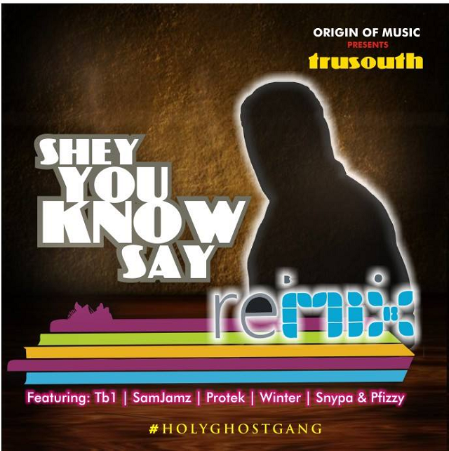 tru-south-shey-you-know-say-remix