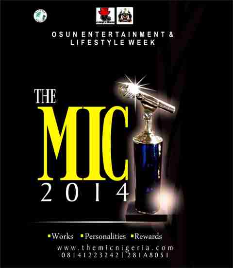 The MIC 2014 Awards 