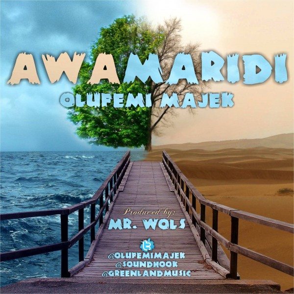 Olufemi Majek - Awamaridi