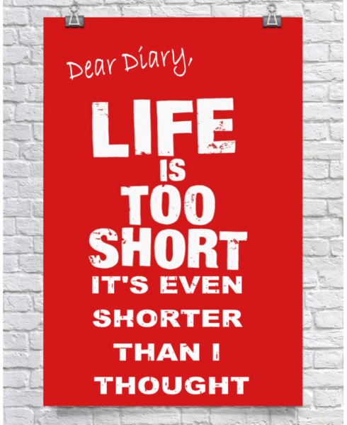 Dear Diary 4